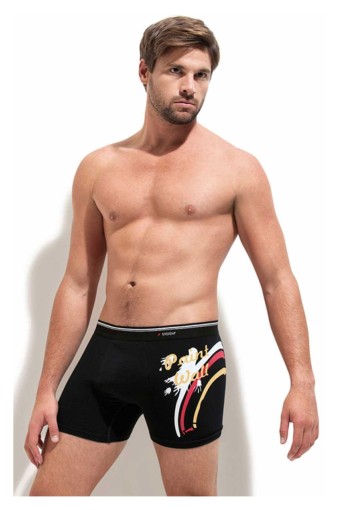 ERDEM - Erdem Erkek Boxer Likralı (1)