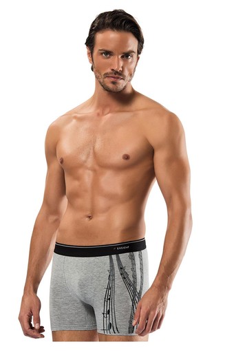 ERDEM OUTLET - Erdem Erkek Boxer Likralı Kutulu (1)