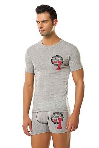 ERDEM - Erdem Erkek Kısa Kollu Atlet Likralı