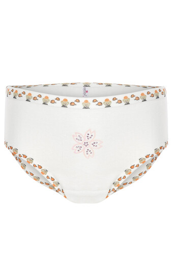 ERDEM OUTLET - Erdem Kız Çocuk Şerit Desenli Taşlı Pamuk Slip Külot