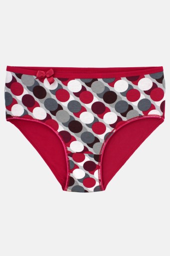 GÜMÜŞ ÇAMAŞIR - Gümüş Kadın Pamuk Bato Külot (1)