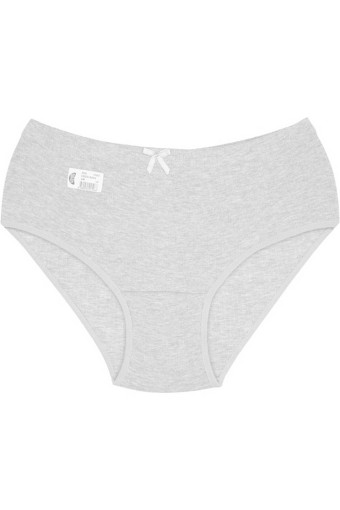 GÜMÜŞ ÇAMAŞIR - Gümüş Kadın Çizgili Pamuklu Bato Külot - Gri - XL (1)