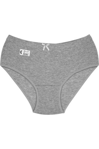 GÜMÜŞ ÇAMAŞIR - Gümüş Kadın Çizgili Pamuklu Bato Külot - Gri - XL