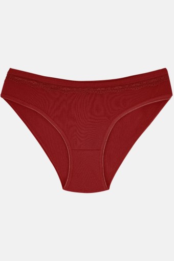 GÜMÜŞ ÇAMAŞIR - Gümüş Kadın Düz Pamuk Slip Külot Dantelli (1)