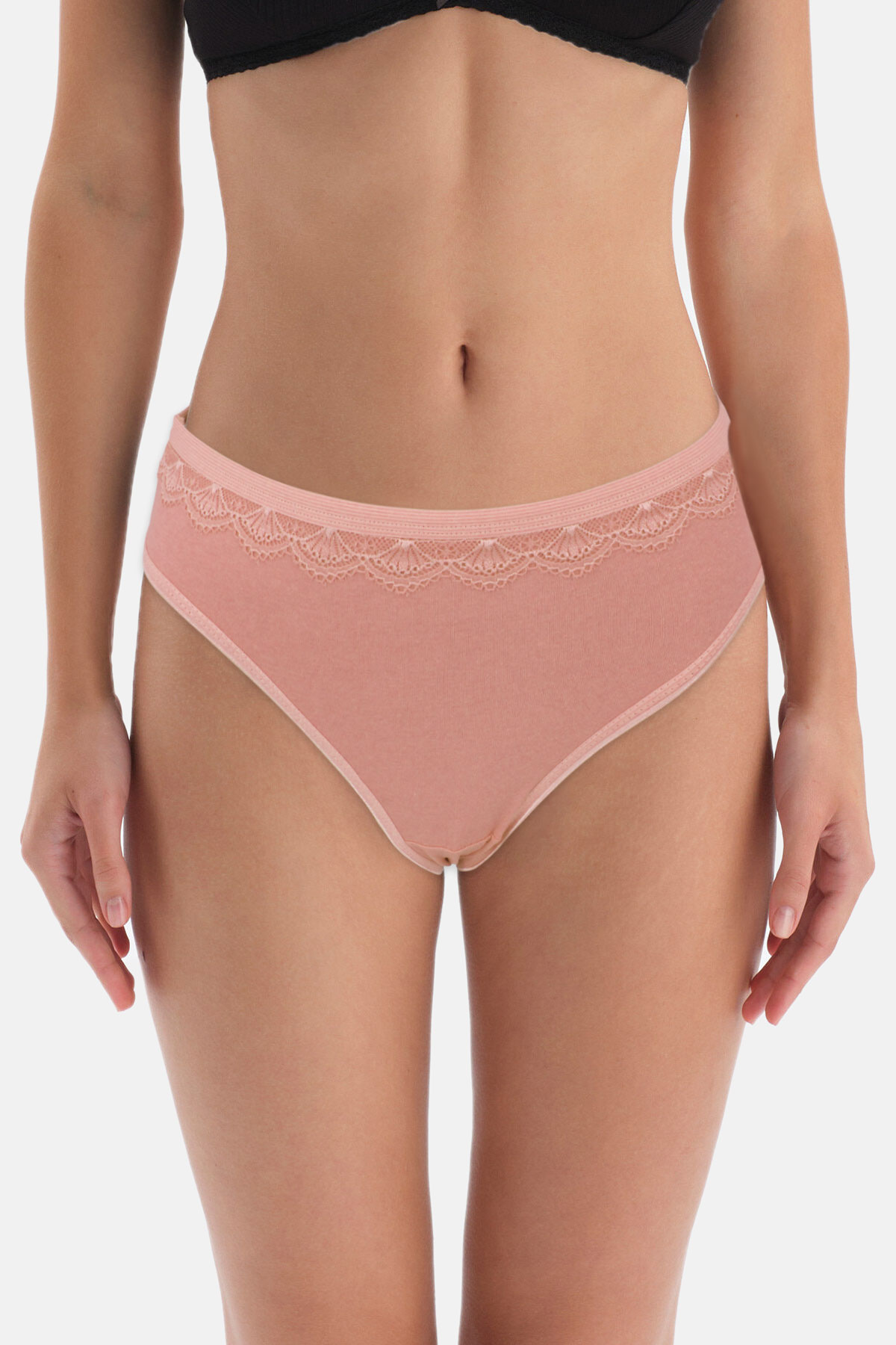 Gümüş Kadın Pamuk Slip Külot Bel Dantelli - Thumbnail