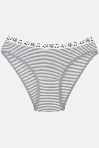 GÜMÜŞ ÇAMAŞIR - Gümüş Kadın Pamuk Slip Külot Çizgili (1)