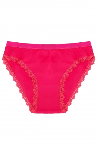 GÜMÜŞ ÇAMAŞIR - Gümüş Kadın Paça Dantelli Slip Külot