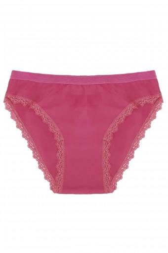 GÜMÜŞ ÇAMAŞIR - Gümüş Kadın Paça Dantelli Slip Külot (1)