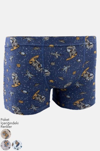 KOTA - Kota Erkek Çocuk Boxer Dinazor Desenli Pamuklu