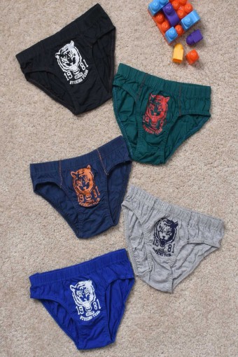 KOZA - Koza Erkek Çocuk Aslan Baskılı Pamuk Külot