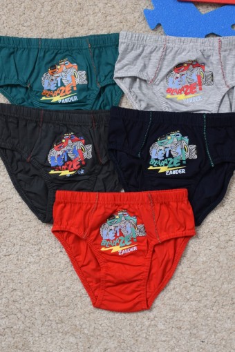 KOZA - Koza Erkek Çocuk Slip Külot Blaaze Baskılı