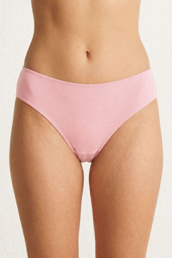 PINARCA SÜTYEN - Pınarca Kadın Bikini Külot Bel İnce Lastikli (1)