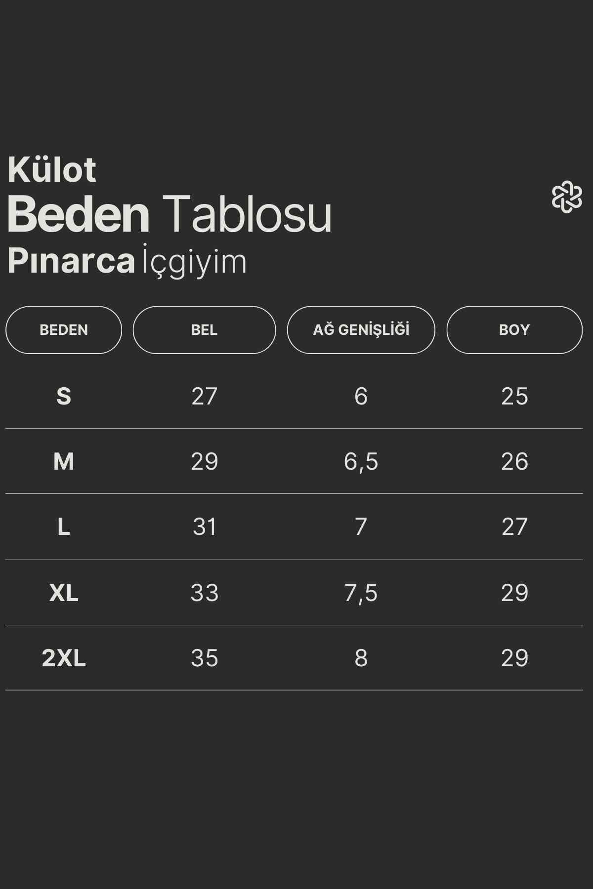 Pınarca Kadın Modal Hamile Külodu - Thumbnail