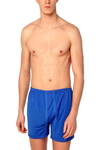 SEDEF YILDIZ - Sedef Yıldız Erkek Boxer Külot Arjantin - Saks Mavisi - 4