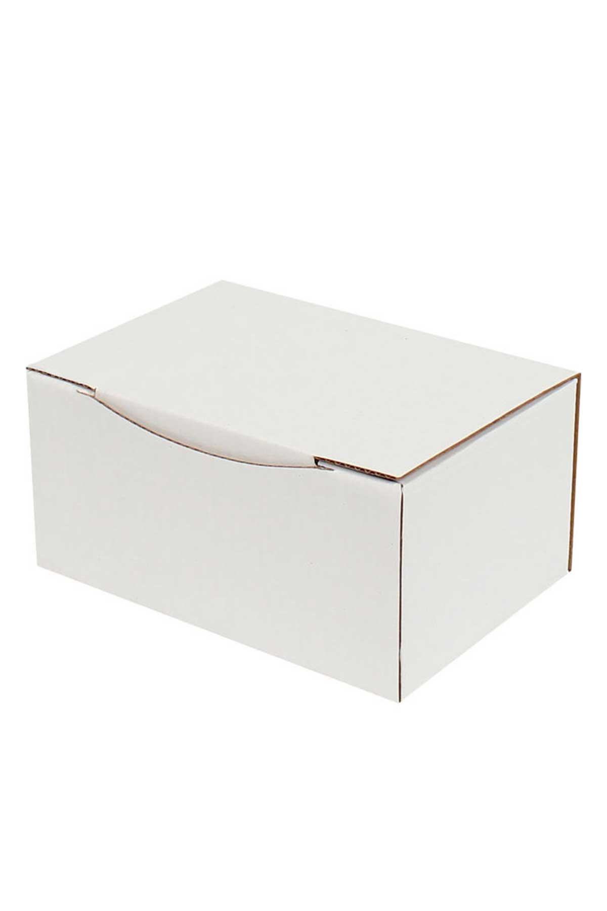 Yabalı Çengelli İğne Gümüş 50'li - Thumbnail